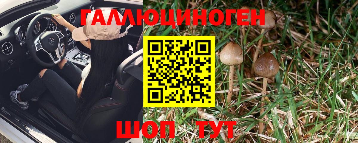 цена наркотик  Галлюциногенные грибы MAGIC MUSHROOMS  Вход с VPN  Ипатово 